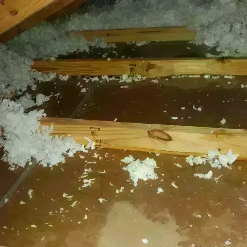 Attic Water Damage in Shallowater, TX