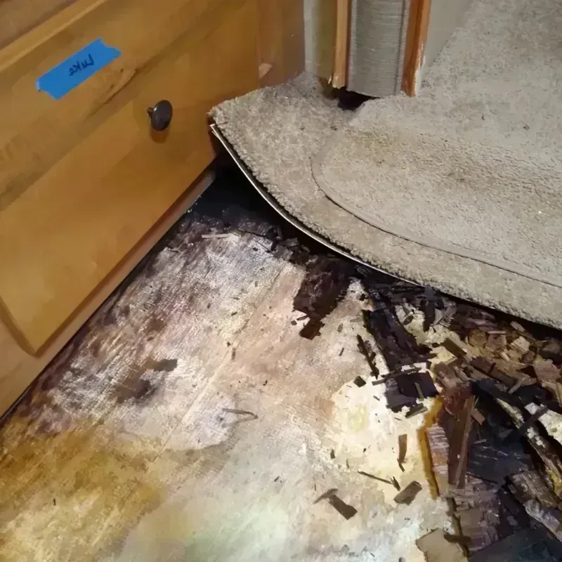 Wood Floor Water Damage in Shallowater, TX